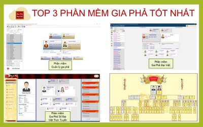 TOP 3 phần mềm xây dựng GIA PHẢ tốt và dễ sử dụng nhất hiện nay